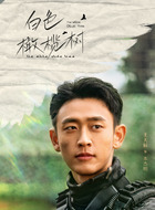 本杰明（王天辰饰演）