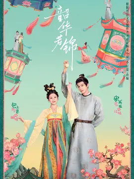 韶华若锦分集剧情介绍(1-30集)大结局