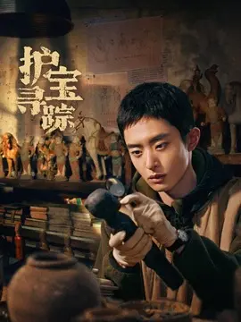 护宝寻踪分集剧情介绍(1-40集)大结局