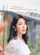 连惠（曾黎饰演）