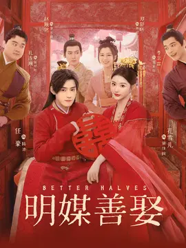 明媒善娶海报
