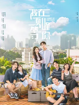 我在顶峰等你电视剧海报