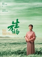 宁苏苏（邢菲饰演）