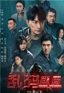 乱码迷局剧情介绍（1-24剧情介绍全集）
