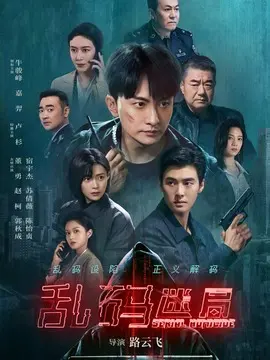 乱码迷局分集剧情介绍(1-24集)大结局