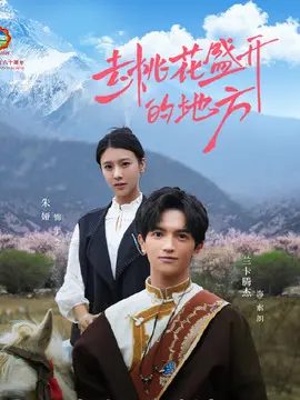 去桃花盛开的地方分集剧情介绍(1-12集)大结局