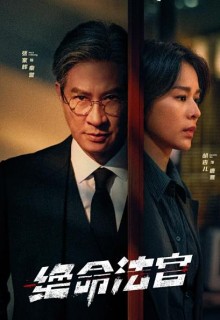 绝命法官电视剧海报