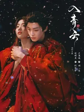 入青云电视剧海报