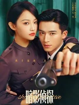 暗影侦探分集剧情介绍(1-24集)大结局