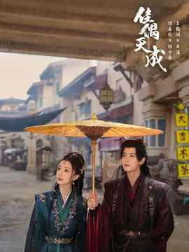 佳偶天成分集剧情介绍(1-40集)大结局