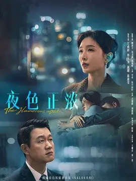 夜色正浓分集剧情介绍(1-24集)大结局