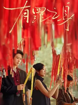 有罪之身分集剧情介绍(1-14集)大结局