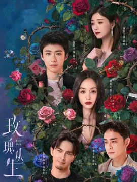 玫瑰丛生分集剧情介绍(1-26集)大结局