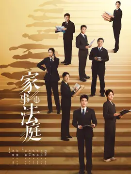 家事法庭分集剧情介绍(1-26集)大结局