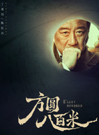 陈红兵（丁勇岱饰演）