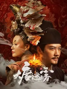 大唐迷雾电视剧海报