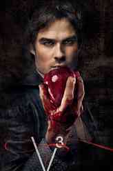 达蒙·萨尔瓦托（伊恩·萨默海尔德饰演）