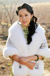 三姨太（颜丹晨饰演）