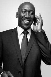 雷米·丹顿（马赫沙拉·阿里饰演）