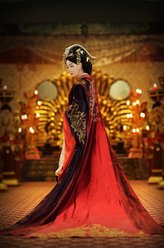 卫子夫（王珞丹饰演）