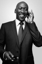 雷米·丹顿（马赫莎拉哈什巴兹·阿里饰演）