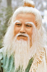 洪七公（刘丹饰演）