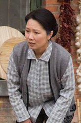 安娜（海清饰演）