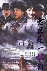 旦旦（王哲饰演）