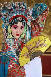 婉菊（刘园园饰演）