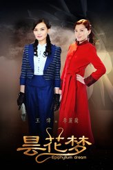 李丽兰（王伟饰演）