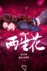 苏祁（顾璇饰演）