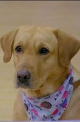 小 七（小七饰演）