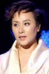 杨家将（曾庆瑜饰演）