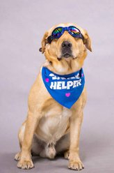 小 七（小七饰演）