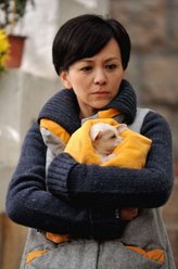 杨洁（王琳饰演）