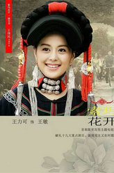 王敏（王力可饰演）