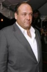 詹姆斯·甘多菲尼（詹姆斯·甘多菲尼饰演）