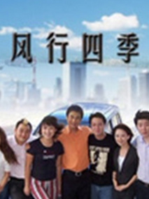 风行四季海报