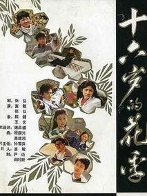 十六岁的花季海报
