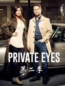 私家侦探第二季海报