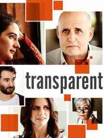 透明家庭第一季海报