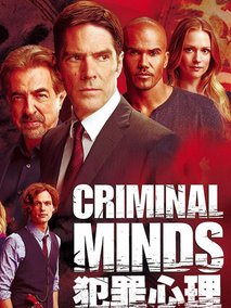 犯罪心理第十一季海报