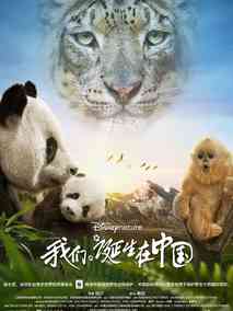 我们诞生在中国分集剧情介绍(1-集)大结局