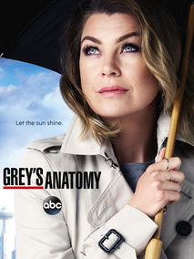 实习医生格蕾第十二季海报