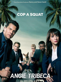 爆笑女警第三季海报