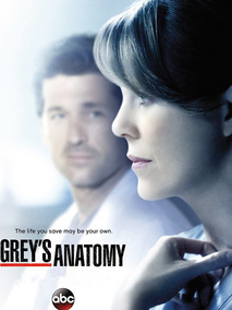 实习医生格蕾第十一季海报