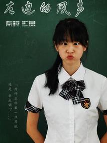 左边的风声分集剧情介绍(1-集)大结局