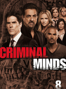 犯罪心理第八季海报