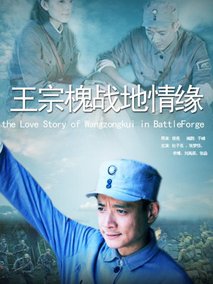 王宗槐战地情缘分集剧情介绍(1-集)大结局