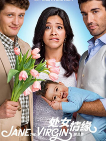 处女情缘第三季海报